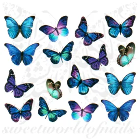 Blue Purple Butterfly Nail Art Water Decals